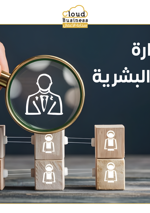 الهيكلة التنظيمية