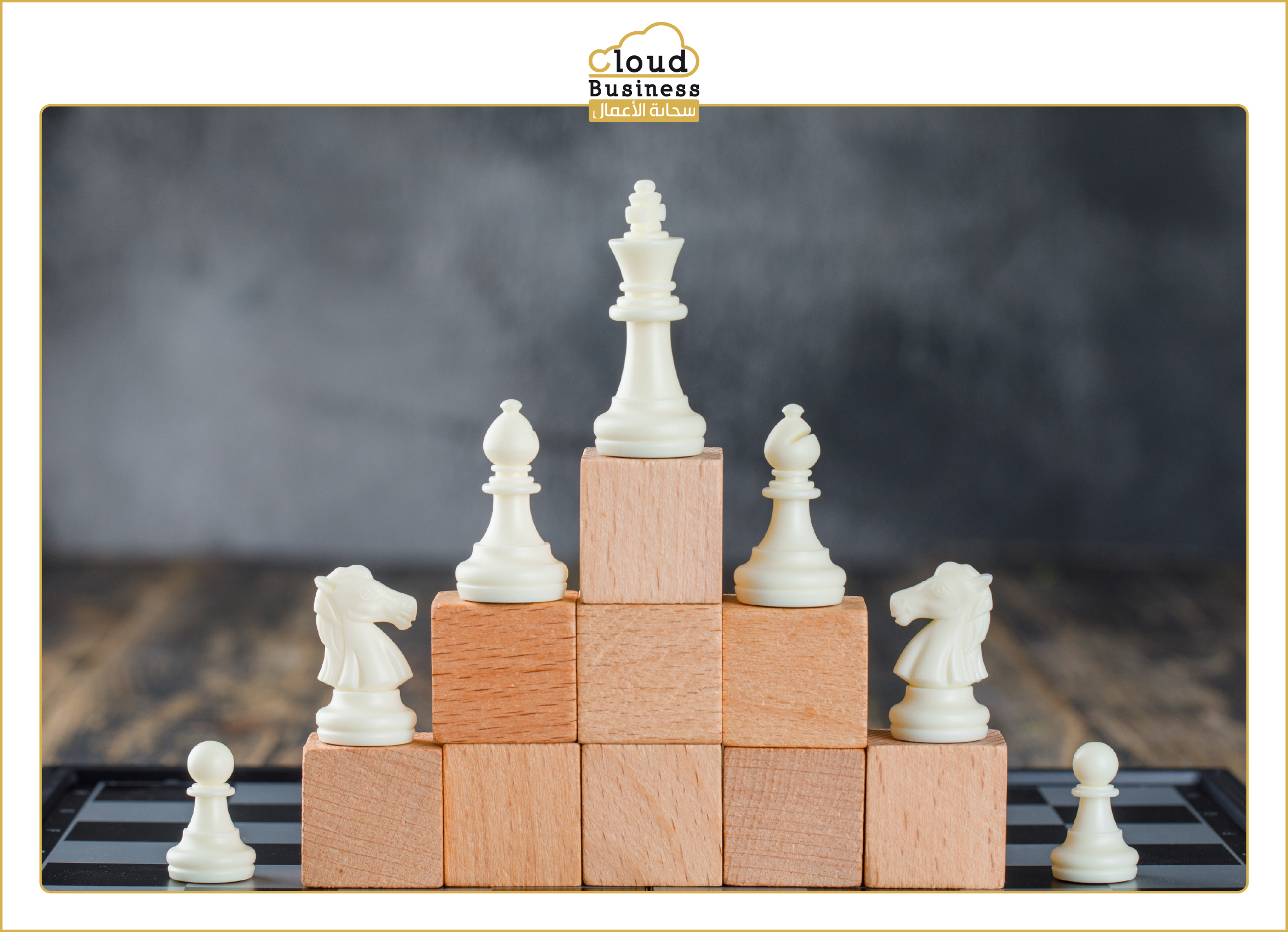 تصنيف الشركات